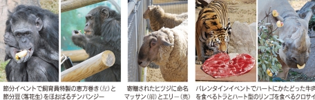 動物園イベント.jpg